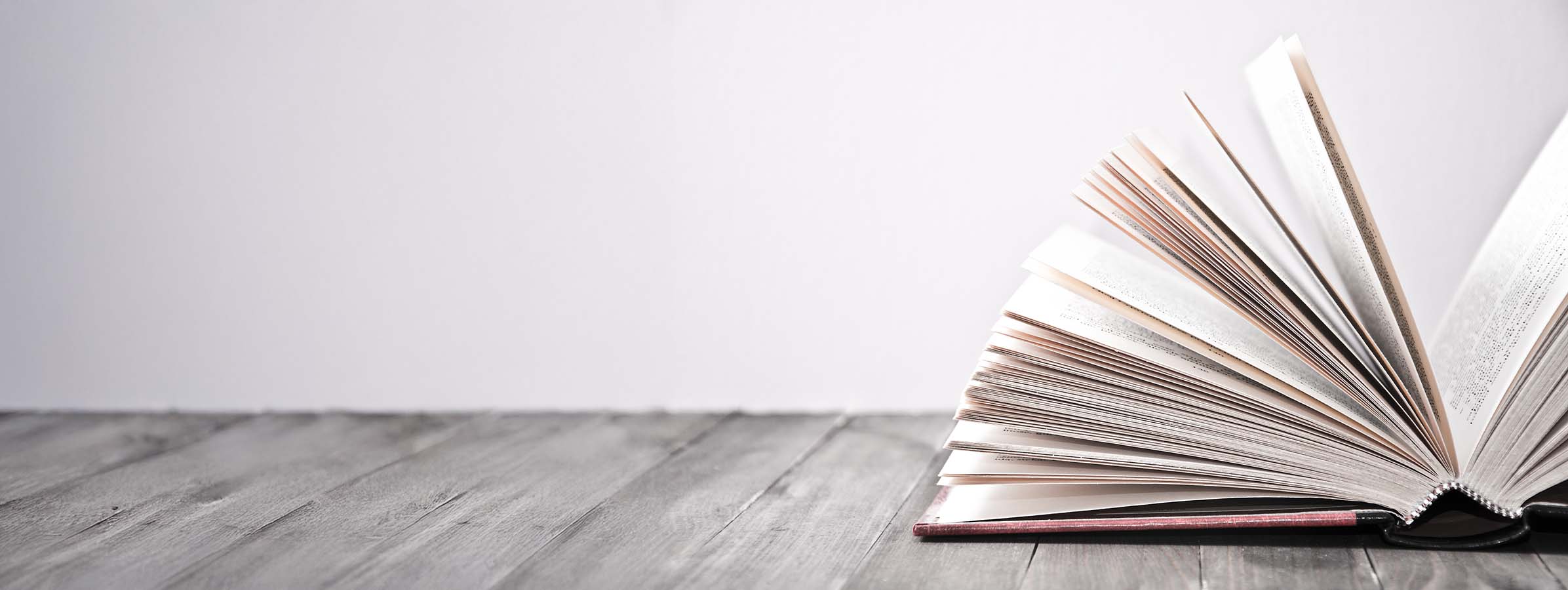 Bild eines aufgefaecherten Buches